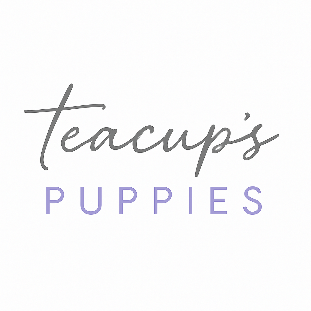 Teacup Puppies